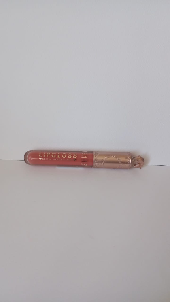 Labial Lip Gloss Unicornio Ushas